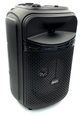 Многофункциональная портативная музыкальная колонка с подсветкой Bluetooth RX-8188 1200 Вт с микрофоном, Черный