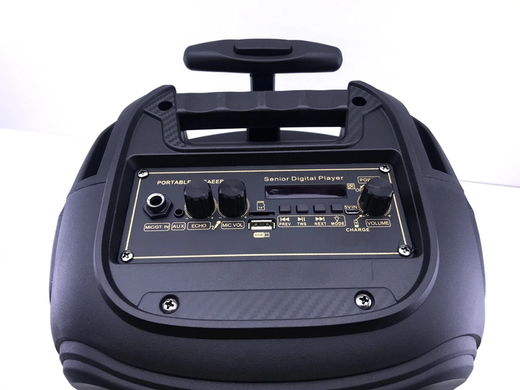 Многофункциональная портативная музыкальная колонка с подсветкой Bluetooth RX-8188 1200 Вт с микрофоном, Черный
