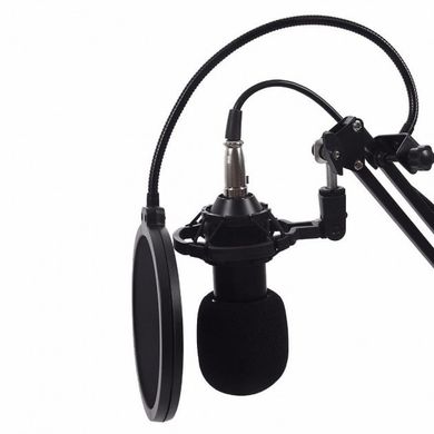 Микрофон студийный Music D.J. M800U со стойкой и поп-фильтром Gold, Черный