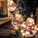 Гирлянда занавес штора Шары с наполнением Дед Мороз, 3м, 10 шаров LED USB МУЛЬТИК