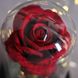 Роза в стеклянной колбе с подсветкой Love Stories Roses, 18 см, красная