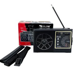 Радио «GOLON» RX-98UAR, MP3/Micro USB ~ Черный