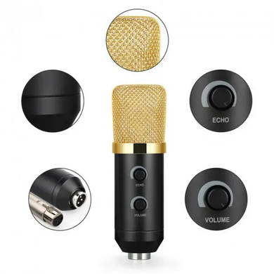 Профессиональный микрофон с фильтром Music M-800 студийный микрофон для записи, Золотой