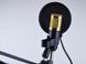 Профессиональный микрофон с фильтром Music M-800 студийный микрофон для записи, Золотой