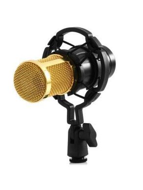 Студийный микрофон M-800, профессиональный микрофон