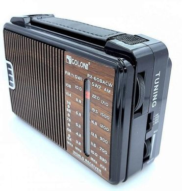 Радіоприймач GOLON RX-608ACW робота від мережі, батарейок всехвильовий Коричневий, Коричневий