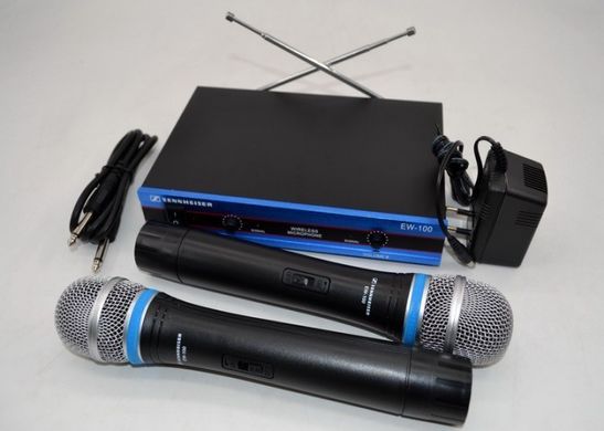 Микрофон караоке беспроводной 2 шт радиосистема DM EW 100, Черный