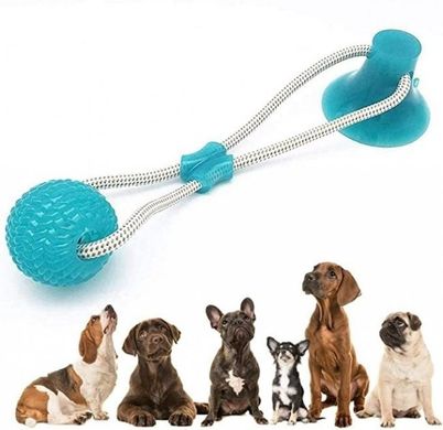 Іграшка на присосці для собак багатофункціональна іграшка для собак Dog Toy м'яч на присосці, Разные цвета